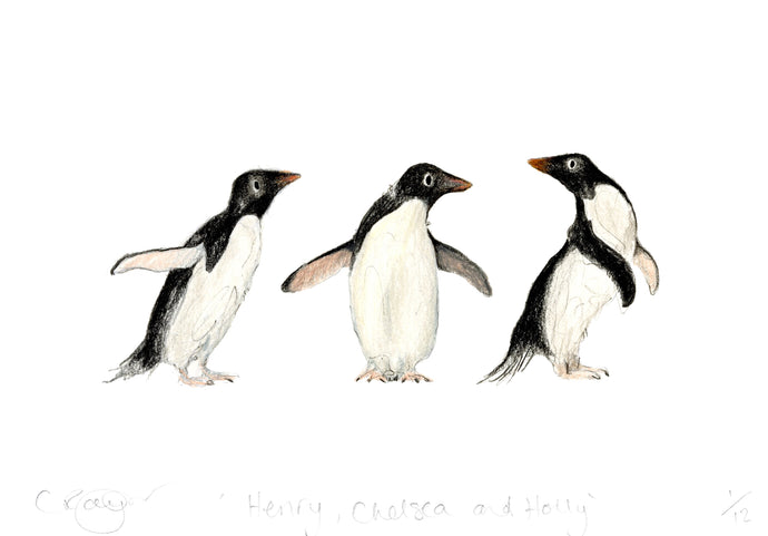 Penguin Trio A5 Print