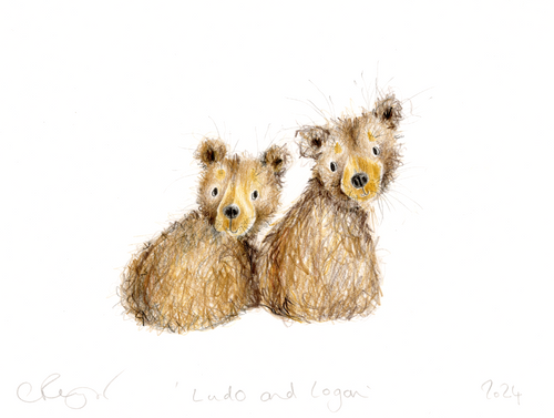 'Ludo and Logan' the bear cubs