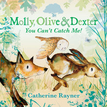 Load image into Gallery viewer, Front cover of the hardback edition of &#39;Molly, Olive and Dexter: You Can&#39;t Catch Me!&#39; by Catherine Rayner. Featuring an illustration of a fox, an owl and a hare racing surrounded by blue, green and orange foliage and oak leaves. 