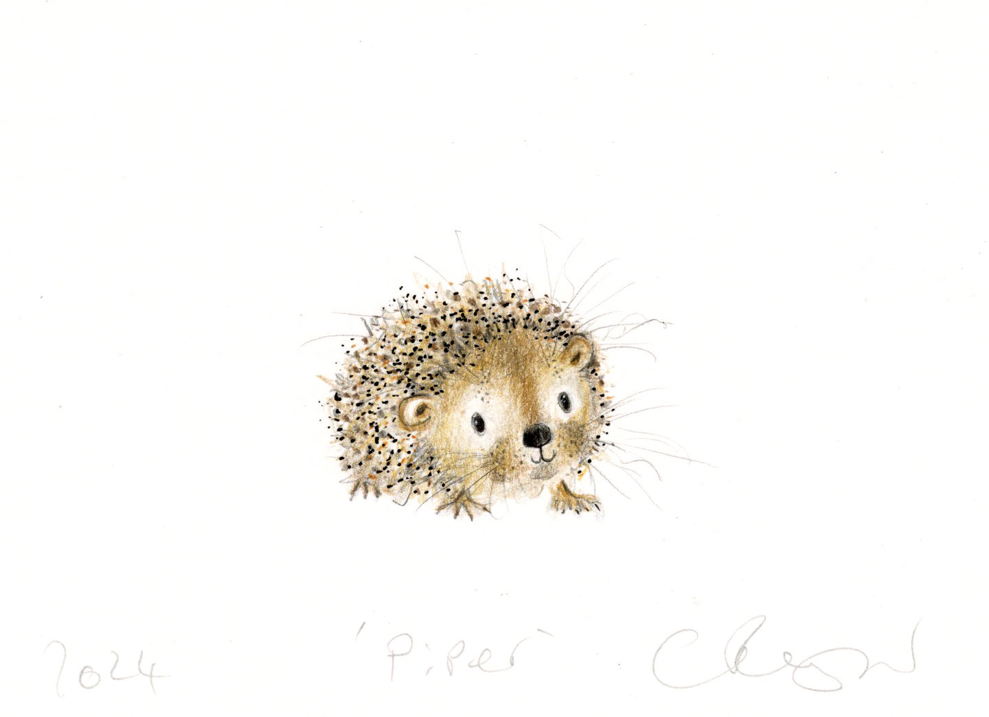 Piper the hedgehog