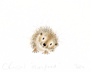 Manfred the hedgehog