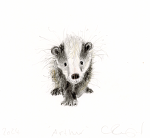 Load image into Gallery viewer, ‘Arthur&#39; the baby badger
