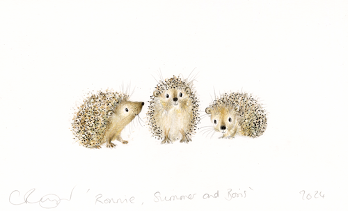 'Ronnie, Summer and Boris' the hedgehogs