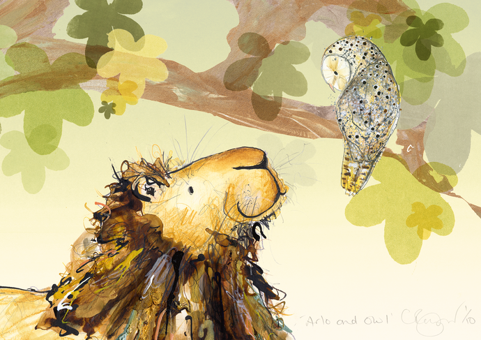 2. 'Arlo and Owl'