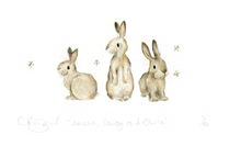 Load image into Gallery viewer, ‘Amelie, Daisy and Olivia’