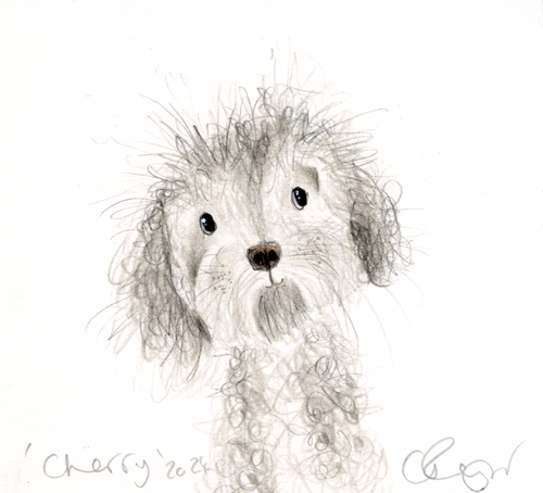 Cute fluffy dog illustration