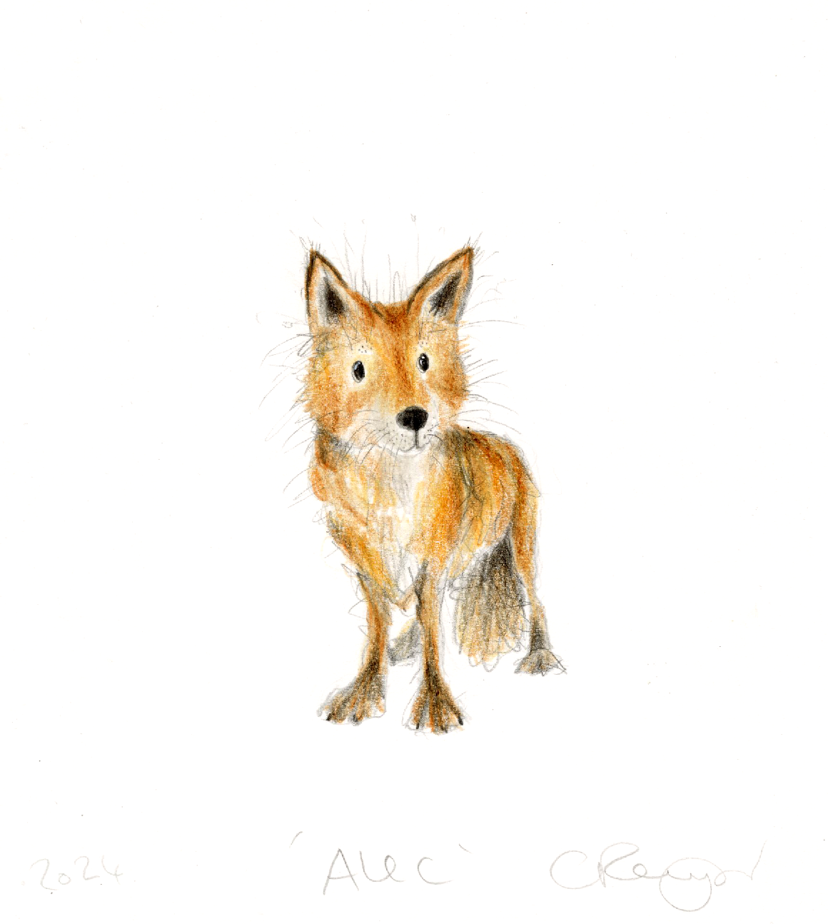 'Alec' the fox