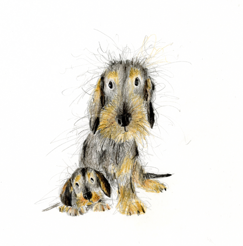 'Beatrice and Belinda' the dachshunds