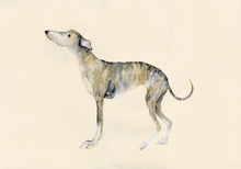 Load image into Gallery viewer, &#39;Sunday&#39; (Whippet original painting - framed)