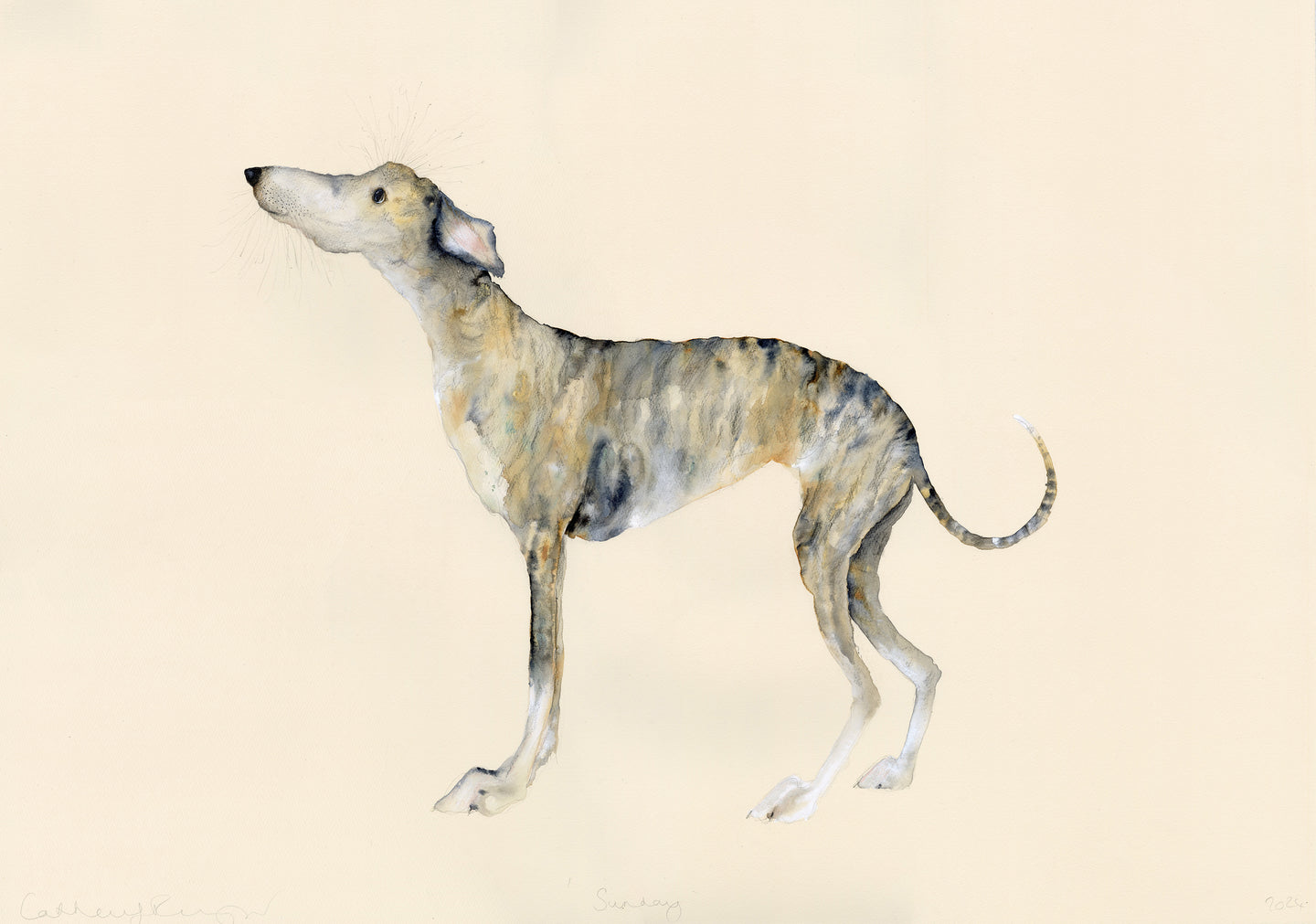 'Sunday' (Whippet original painting - framed)