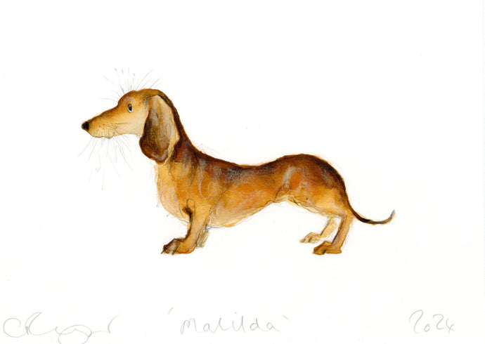 'Matilda' (Dachshund original painting - framed)