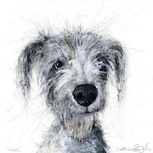 'Nigel' (Bedlington Cross Whippet original painting - framed)