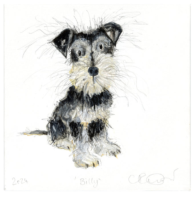 'Billy' (Schnauzer original painting - framed)