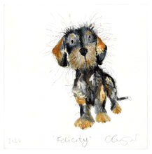 Load image into Gallery viewer, &#39;Felicity&#39; (Wire-haired Dachshund original painting - framed)