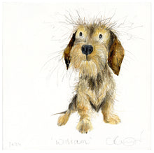 Load image into Gallery viewer, &#39;William&#39; (Wire-hared Dachshund original painting - framed)