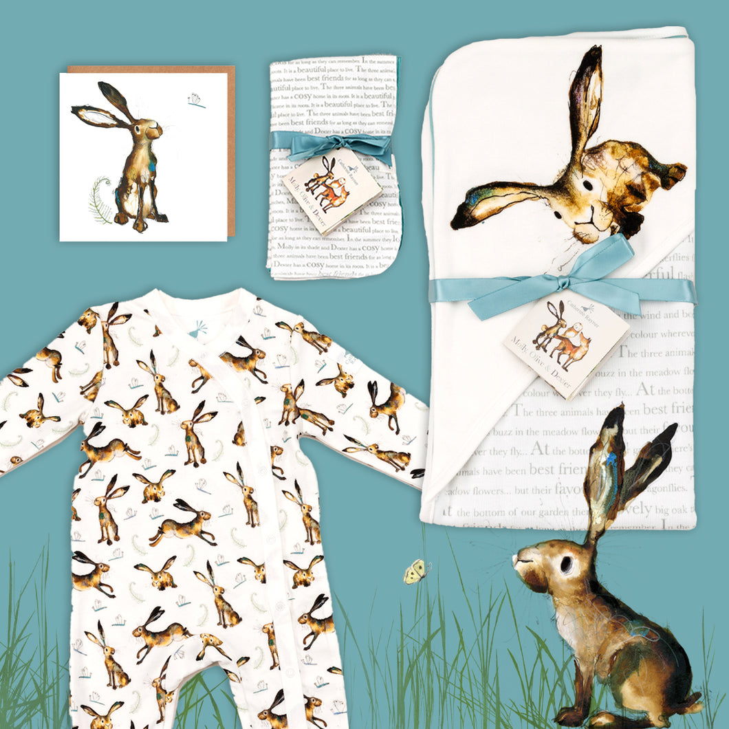 Molly Hare baby gift hamper containing a Molly Hare print hooded blanket, a hare babygrow, a matching hare card and dribble cloths. They are laid out on a blue background with illustrated Molly hare sitting below. 