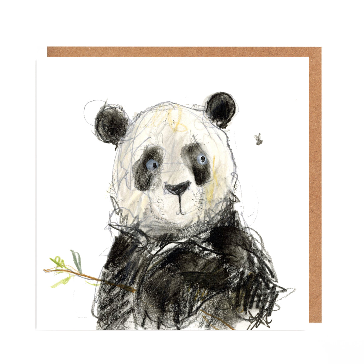 Five Bears Panda Card - 'Grunty Bear' – Catherine Rayner