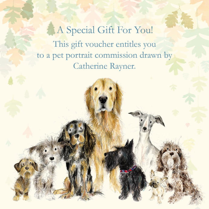 Pet Portrait Gift Voucher