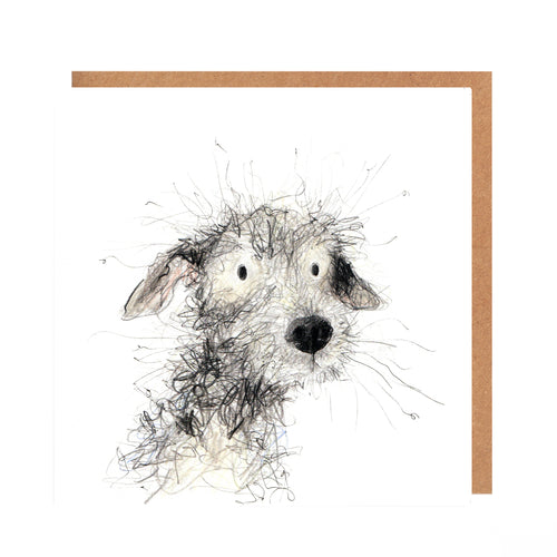 Debbie Bedlington Whippet Dog Card Blank